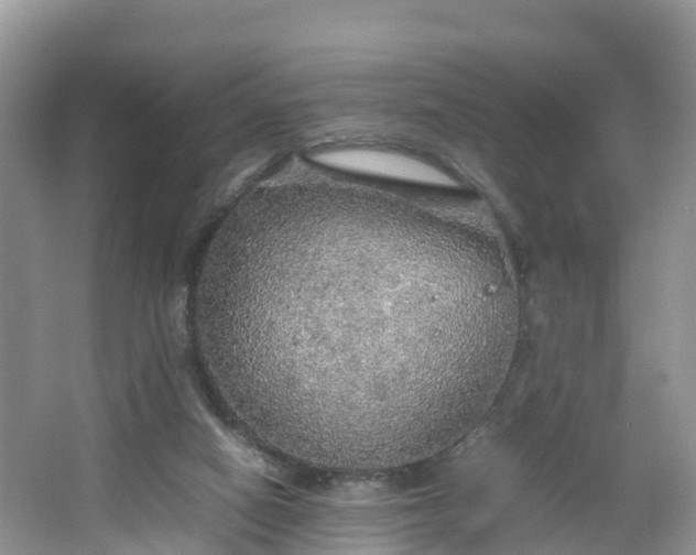 X0000067480066200604101240