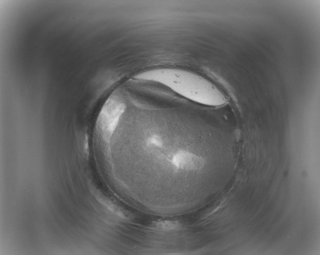 X0000067480067200604101240