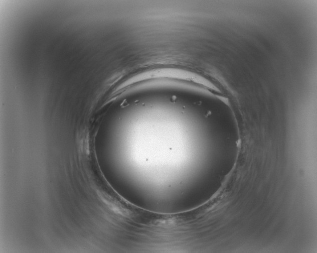 X0000067480068200604101240