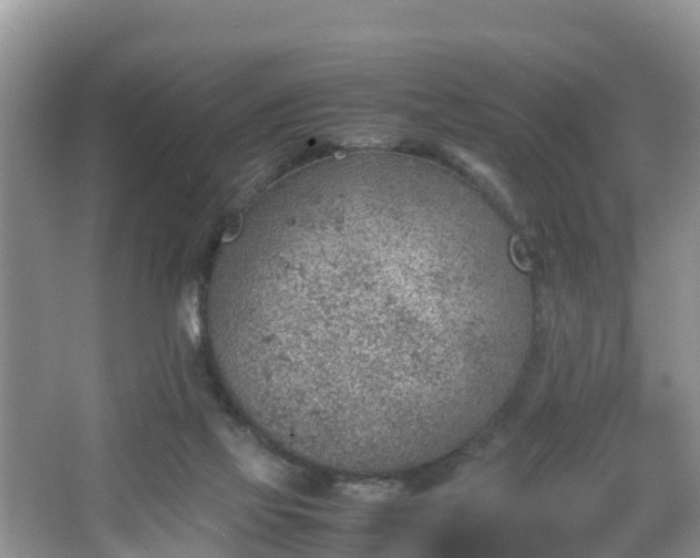 X0000067480069200604101240