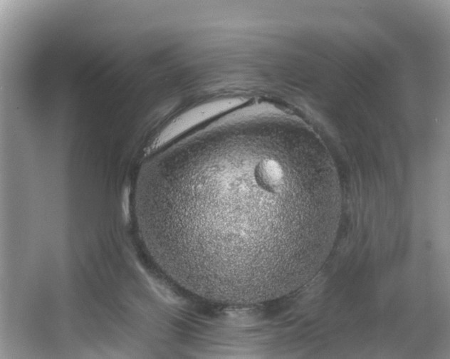 X0000067480070200604101240