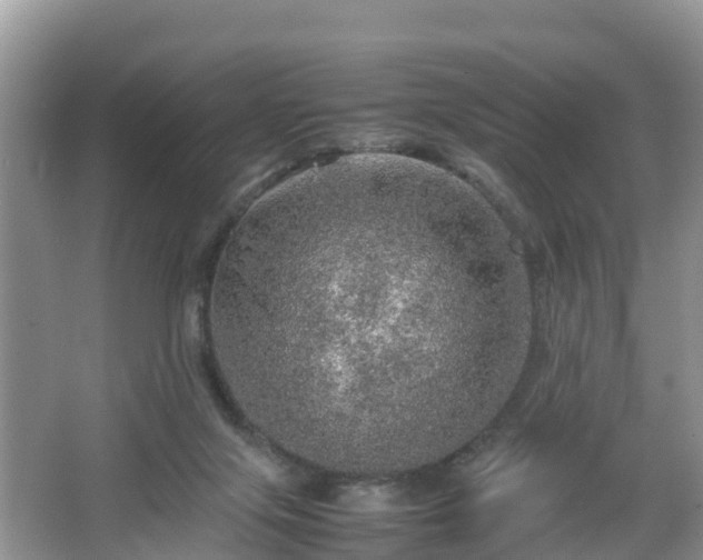 X0000067480071200604101240