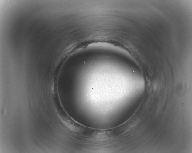 X0000067480072200604101240