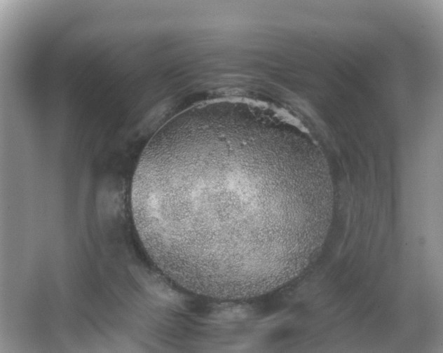 X0000067480073200604101240