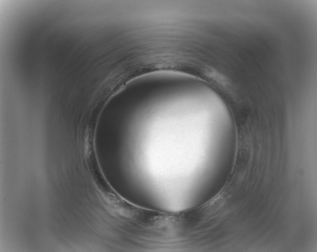 X0000067480074200604101240