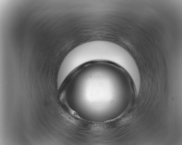 X0000067480077200604101240