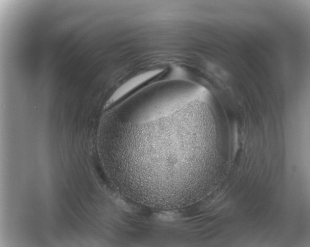 X0000067480079200604101240