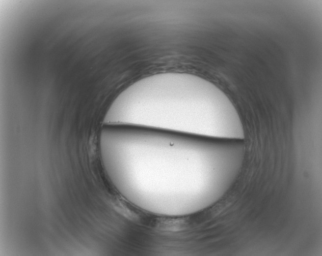 X0000067480081200604101240