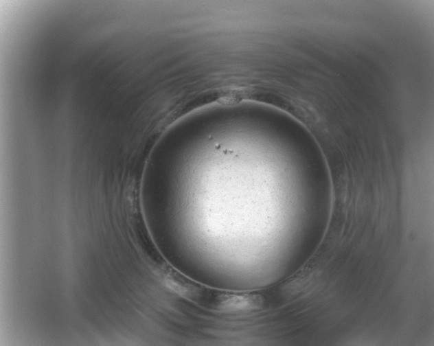 X0000067480083200604101240