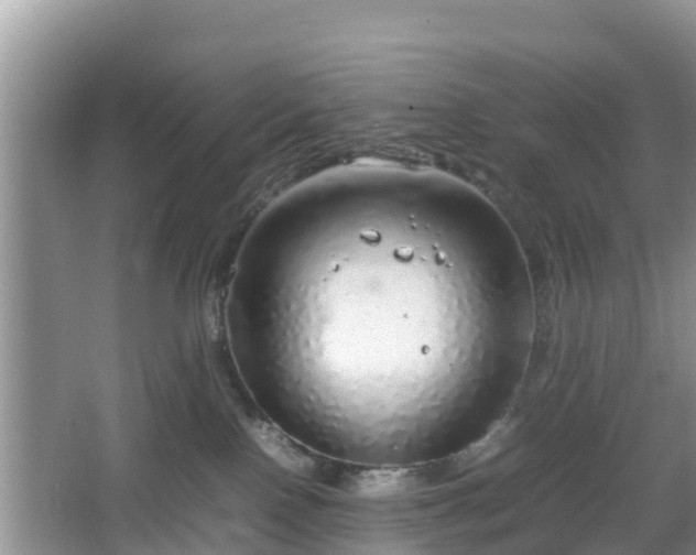 X0000067480090200604101240