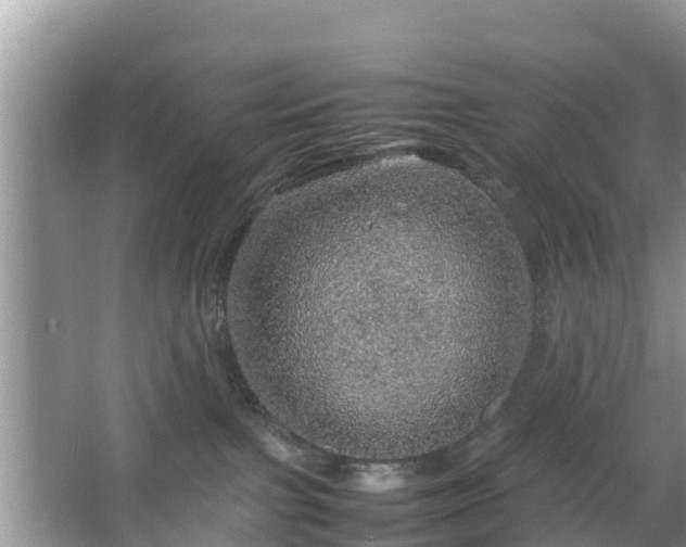 X0000067480091200604101240