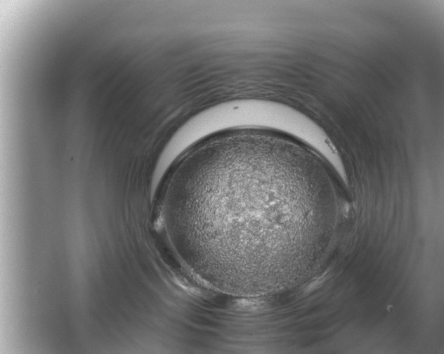 X0000067480095200604101240