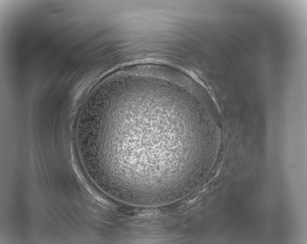 X0000067480097200604101240