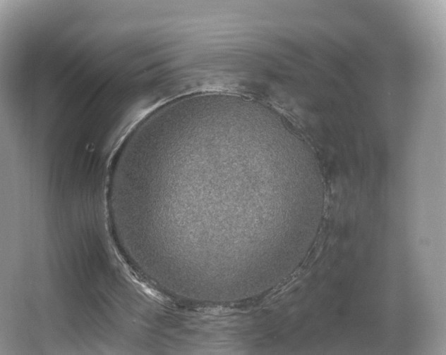 X0000067480098200604101239