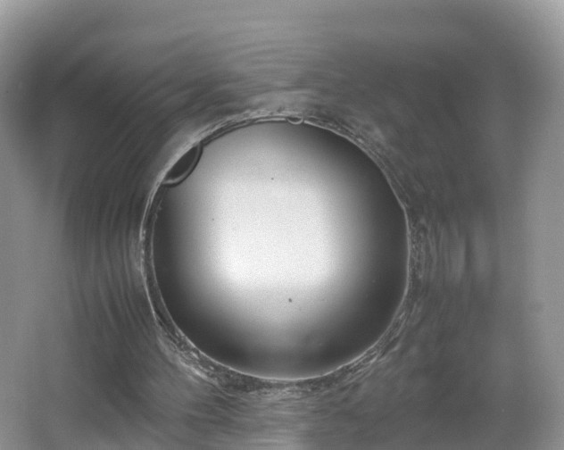 X0000067480100200604101239