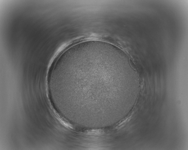 X0000067480102200604101239