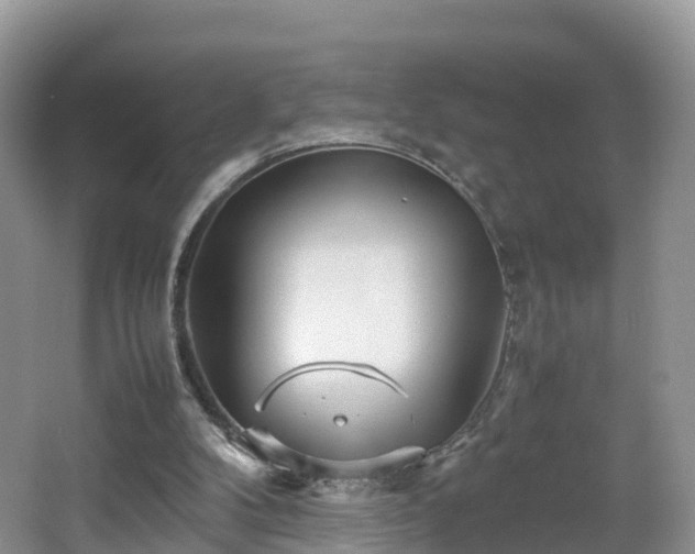 X0000067480104200604101239