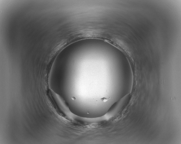 X0000067480105200604101239