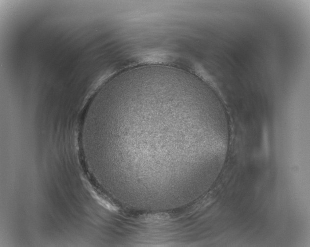 X0000067480106200604101239