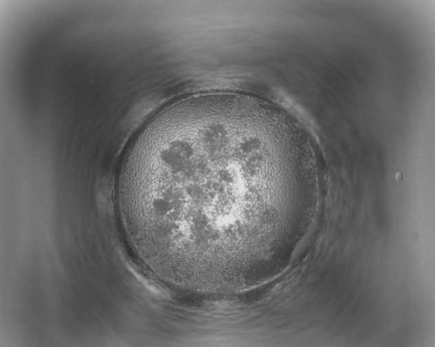 X0000067480107200604101239