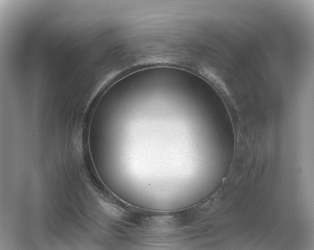 X0000067480108200604101239