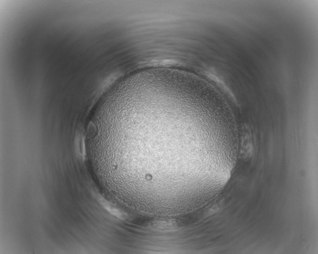 X0000067480110200604101239