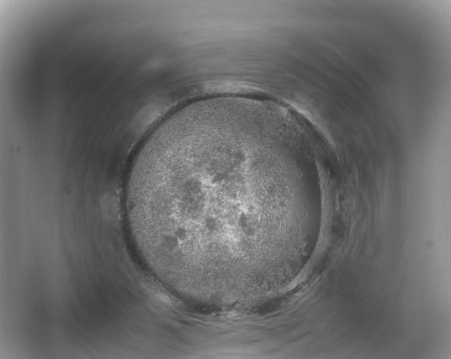 X0000067480111200604101239