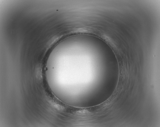 X0000067480112200604101239