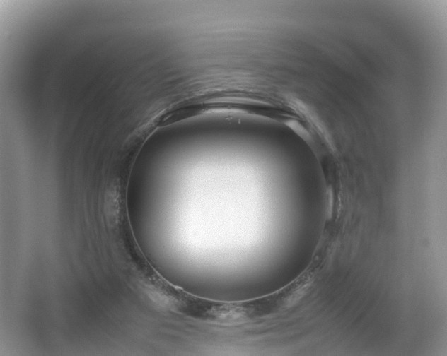 X0000067480113200604101239