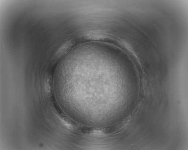 X0000067480114200604101239