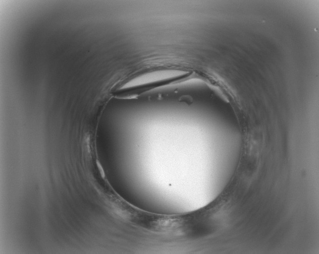 X0000067480117200604101239