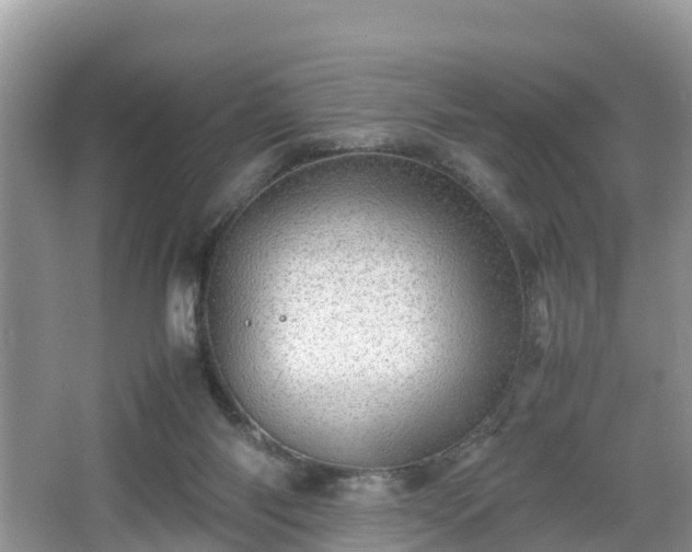 X0000067480118200604101239