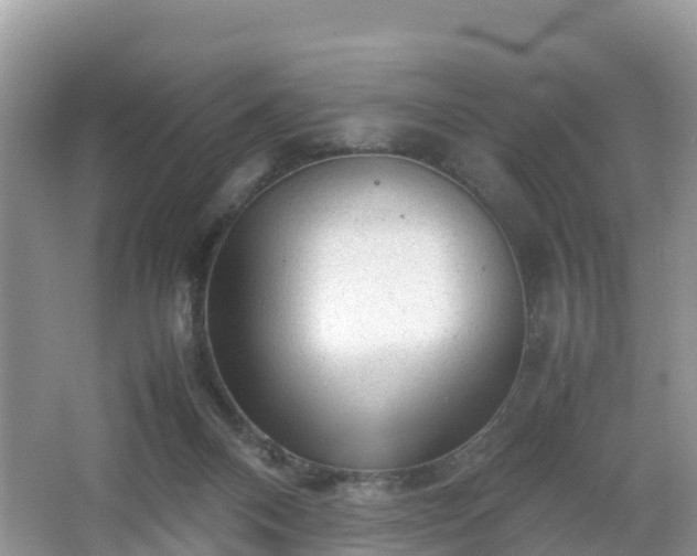 X0000067480120200604101239