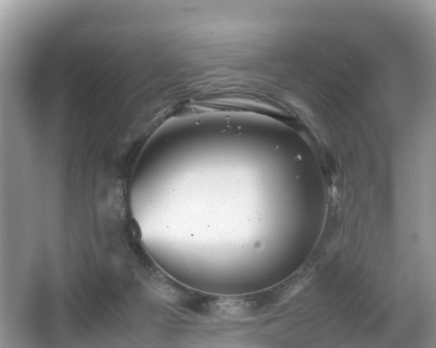 X0000067480121200604101239