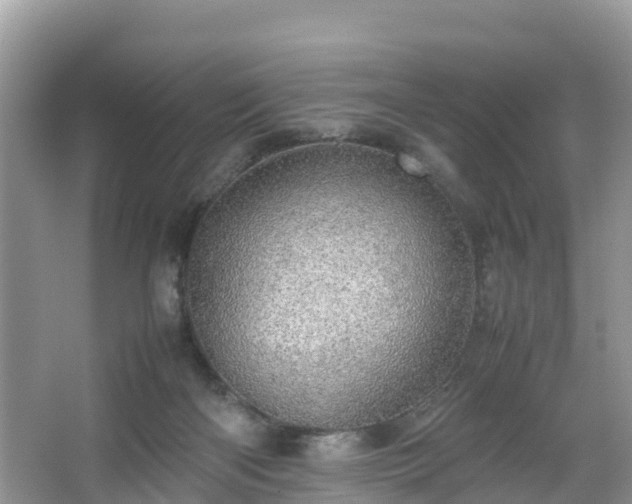 X0000067480122200604101239