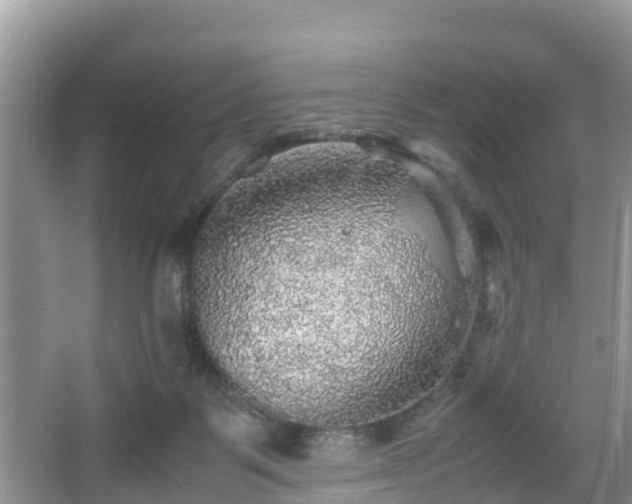 X0000067480123200604101239