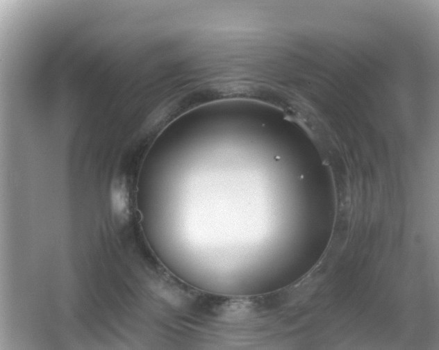 X0000067480124200604101239