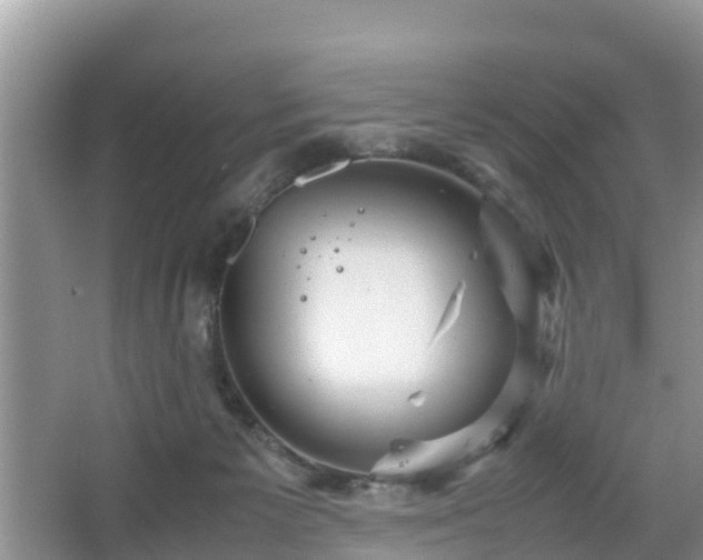 X0000067480125200604101239