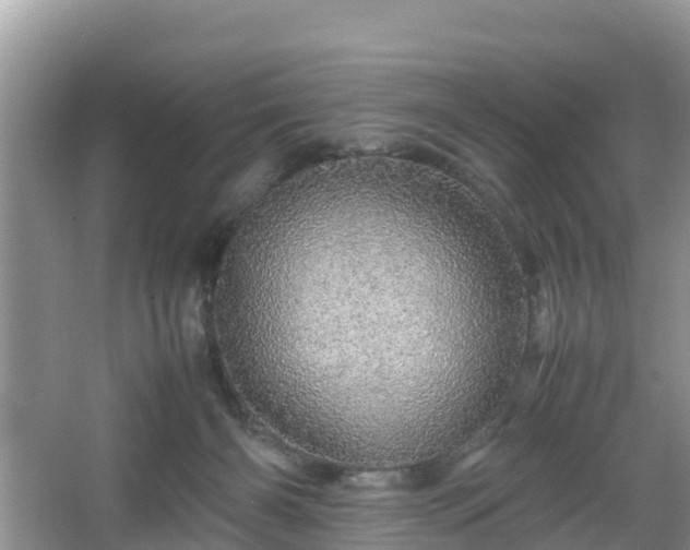 X0000067480126200604101239