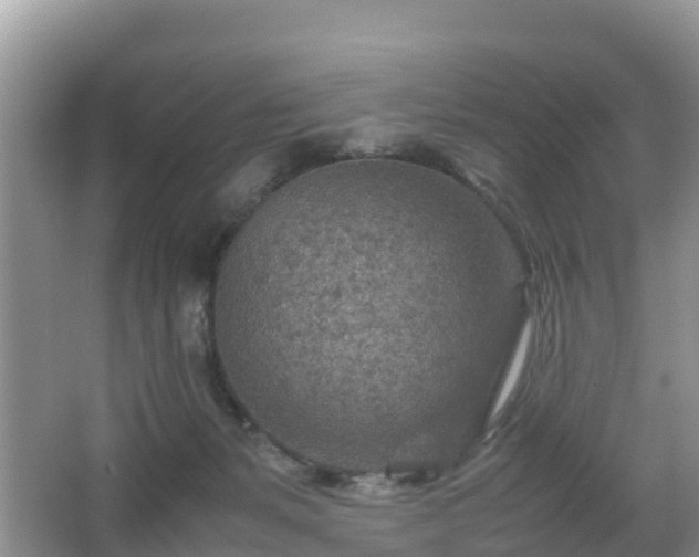 X0000067480127200604101239