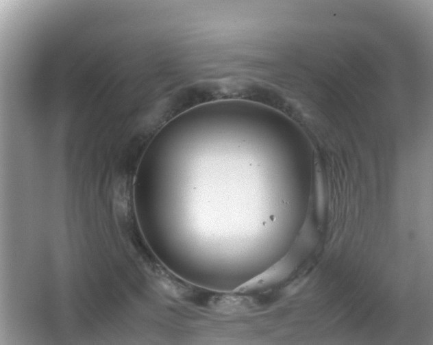 X0000067480129200604101239