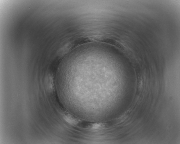 X0000067480130200604101239