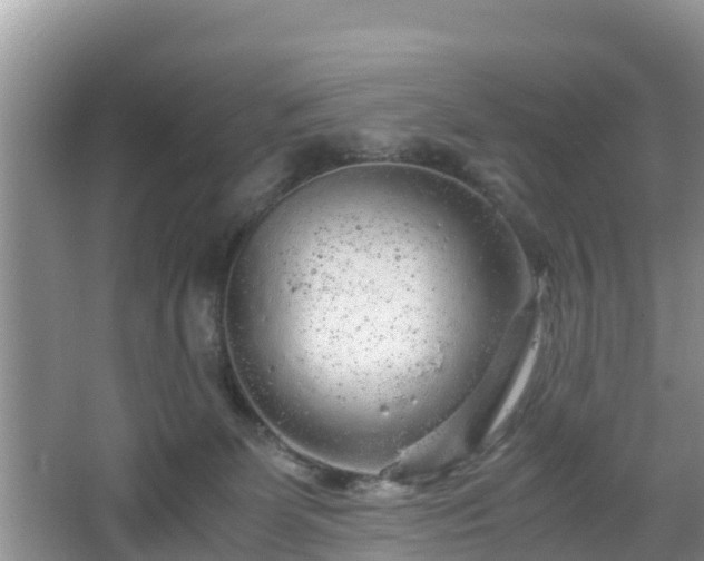 X0000067480131200604101239