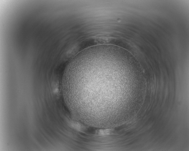 X0000067480134200604101239