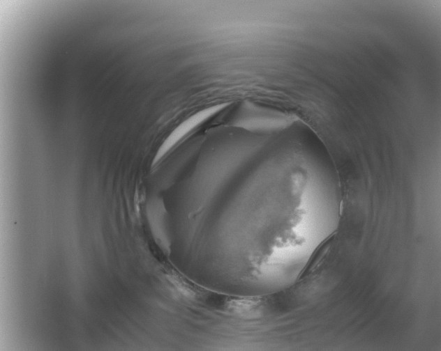 X0000067480139200604101239