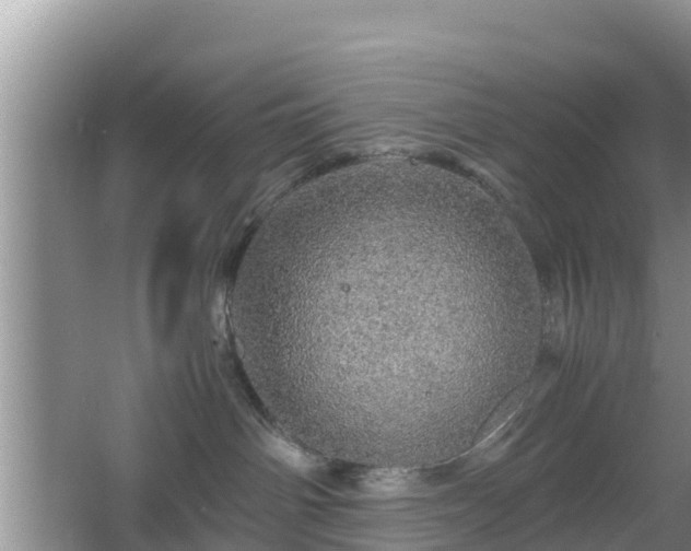 X0000067480142200604101239