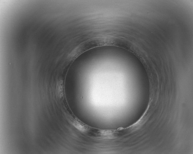 X0000067480144200604101239