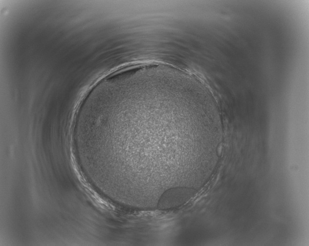 X0000067480145200604101238