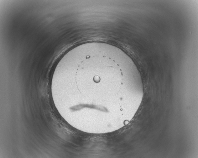 X0000067480146200604101238