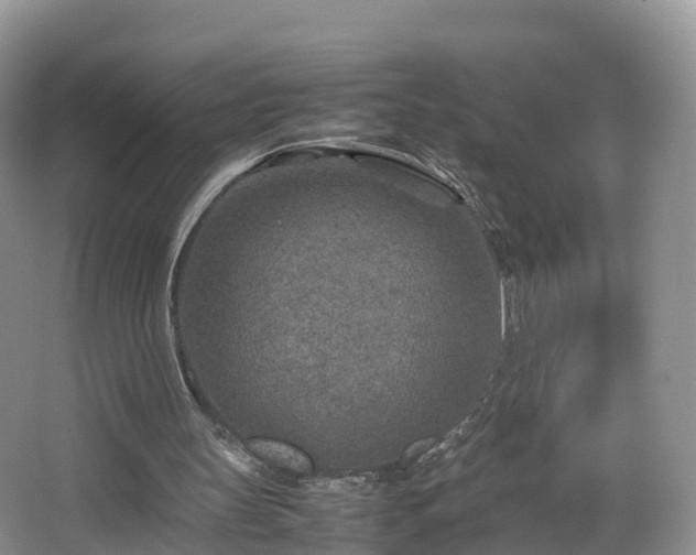 X0000067480147200604101238